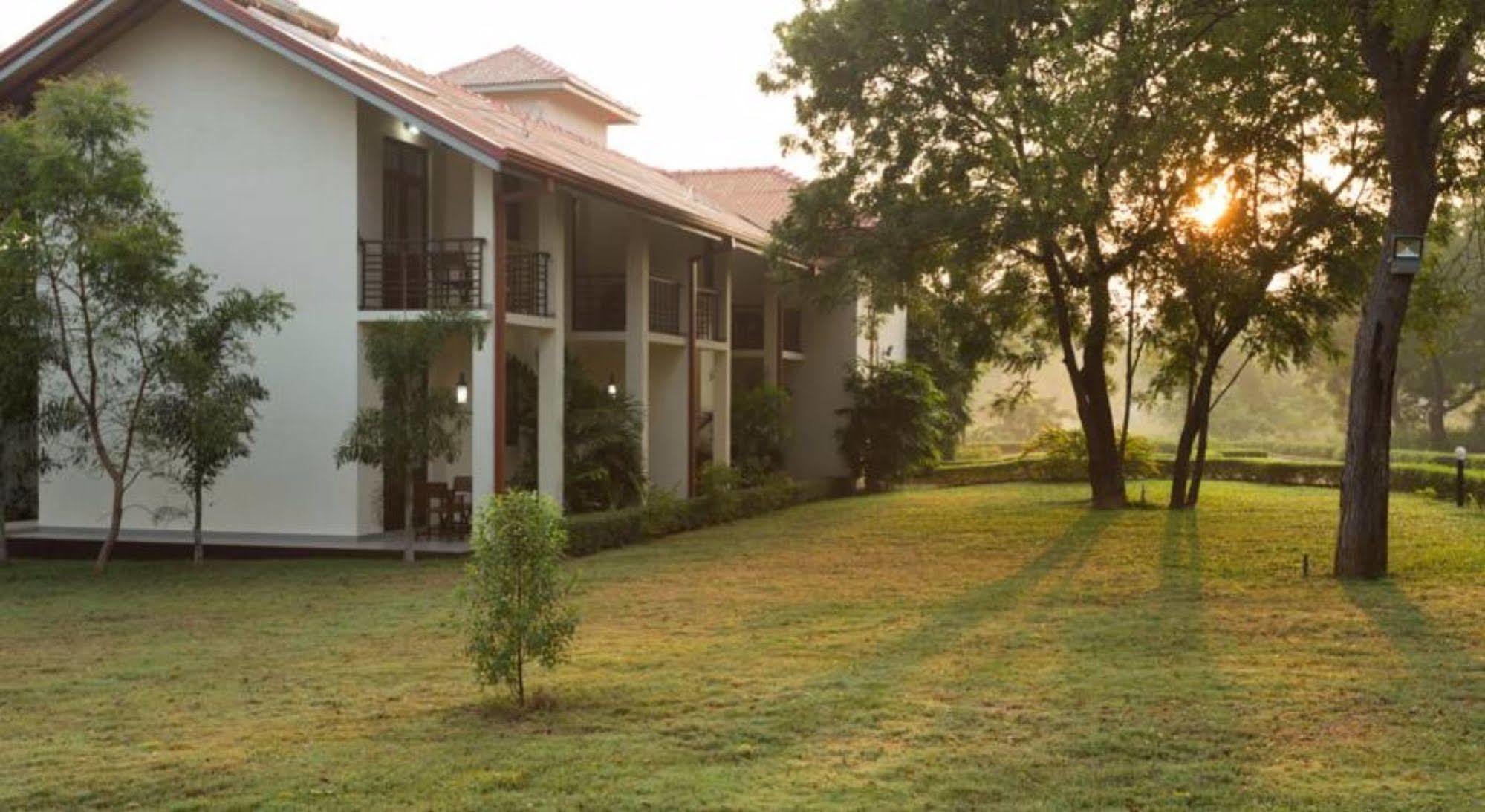 Hotel Chenra كاتاراغاما المظهر الخارجي الصورة