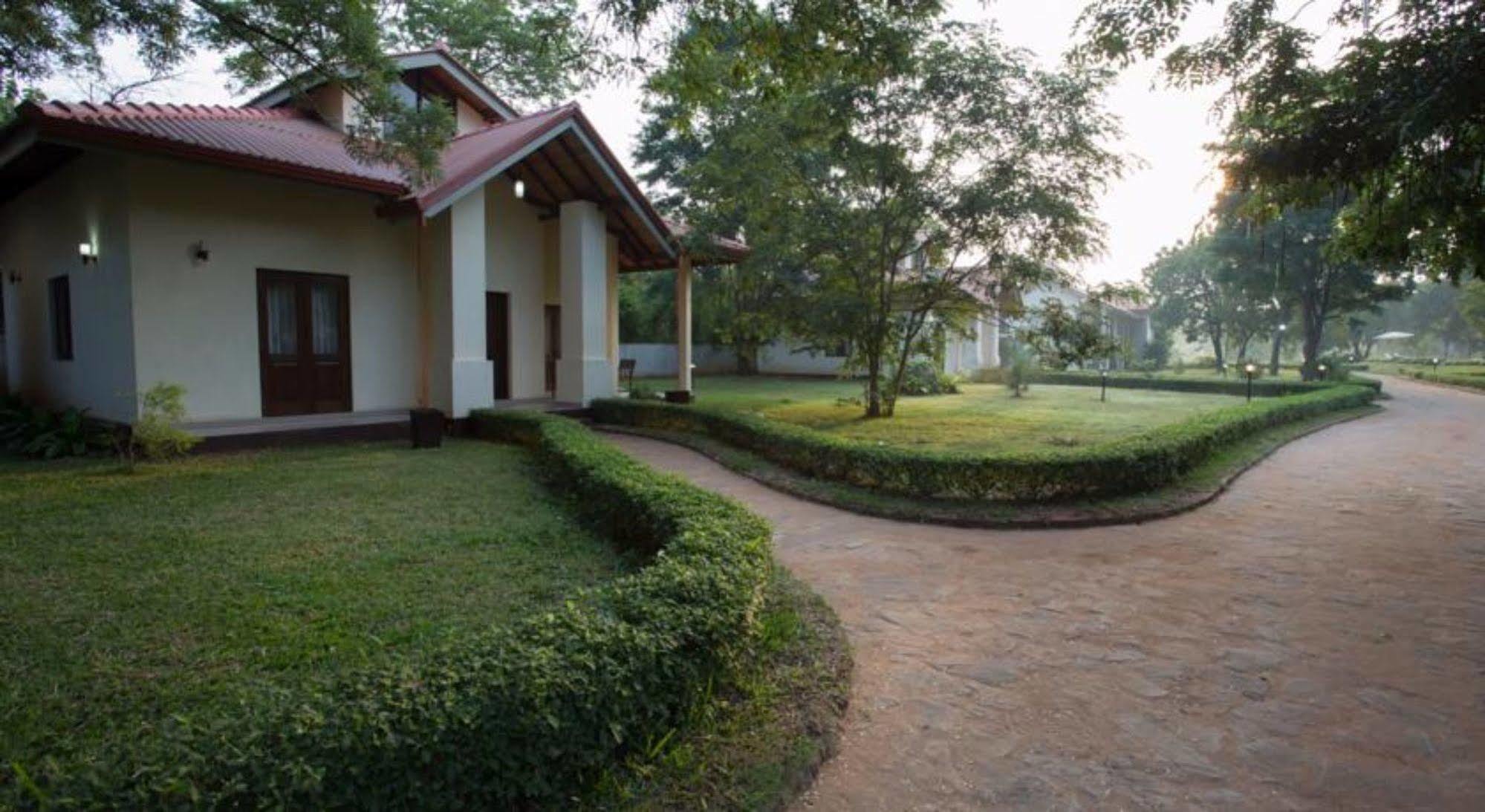 Hotel Chenra كاتاراغاما المظهر الخارجي الصورة
